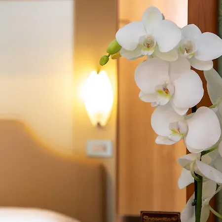 Acapulco Hotel 3*